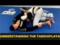 Understanding The Tarikoplata by Tarik Hopstock (The Creator Of The Tarikoplata)