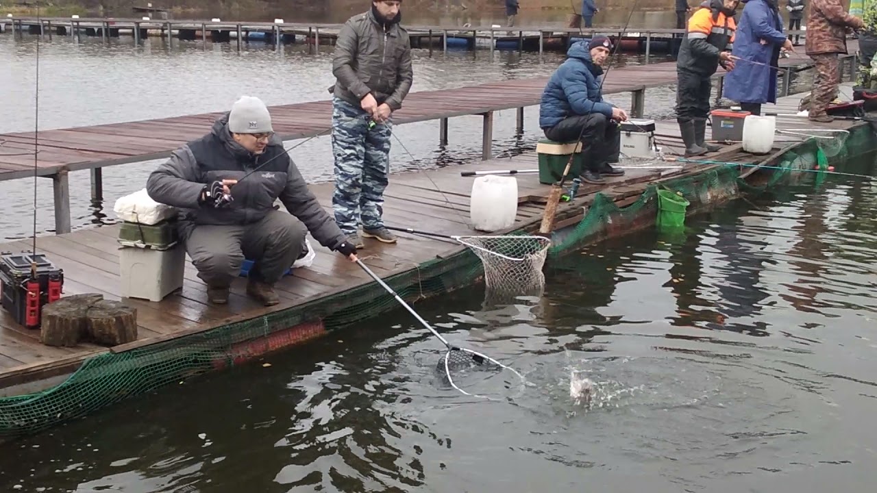 Русфишинг белая дача