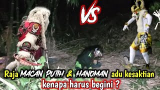 raja siluman macan putih t4rung dengan raja hanoman siluman kera putih