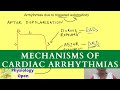 Mechanisms of cardiac arrhythmias | Tachyarrhythmias | Cardiovascular Pathophysiology