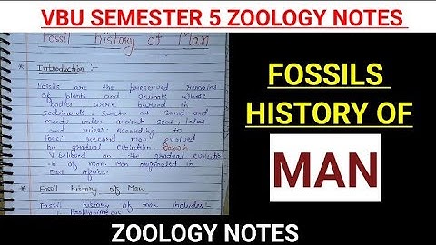 FOSSILS HISTORY OF MAN IN HINDI ||BSc ZOOLOGY NOTES #zoologynotes #vbu #bbmku #evolutionofman