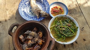 Cắm Câu Đêm Kiếm Bữa Cơm Quê| Cá Lóc Canh Chua , Cá Trê Kho Tiêu | Cậu An Miền Tây_199