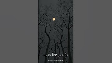 قرآن كريم #quran #قران #قرآن #راحة_نفسية #لايك #اكسبلور