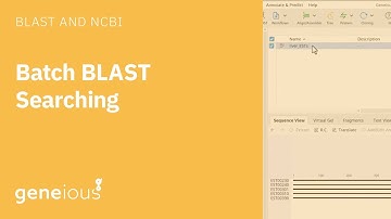 Batch BLAST Searching with Geneious Prime