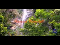 Viewcations caribbean destination  maracas waterfall  trinidad