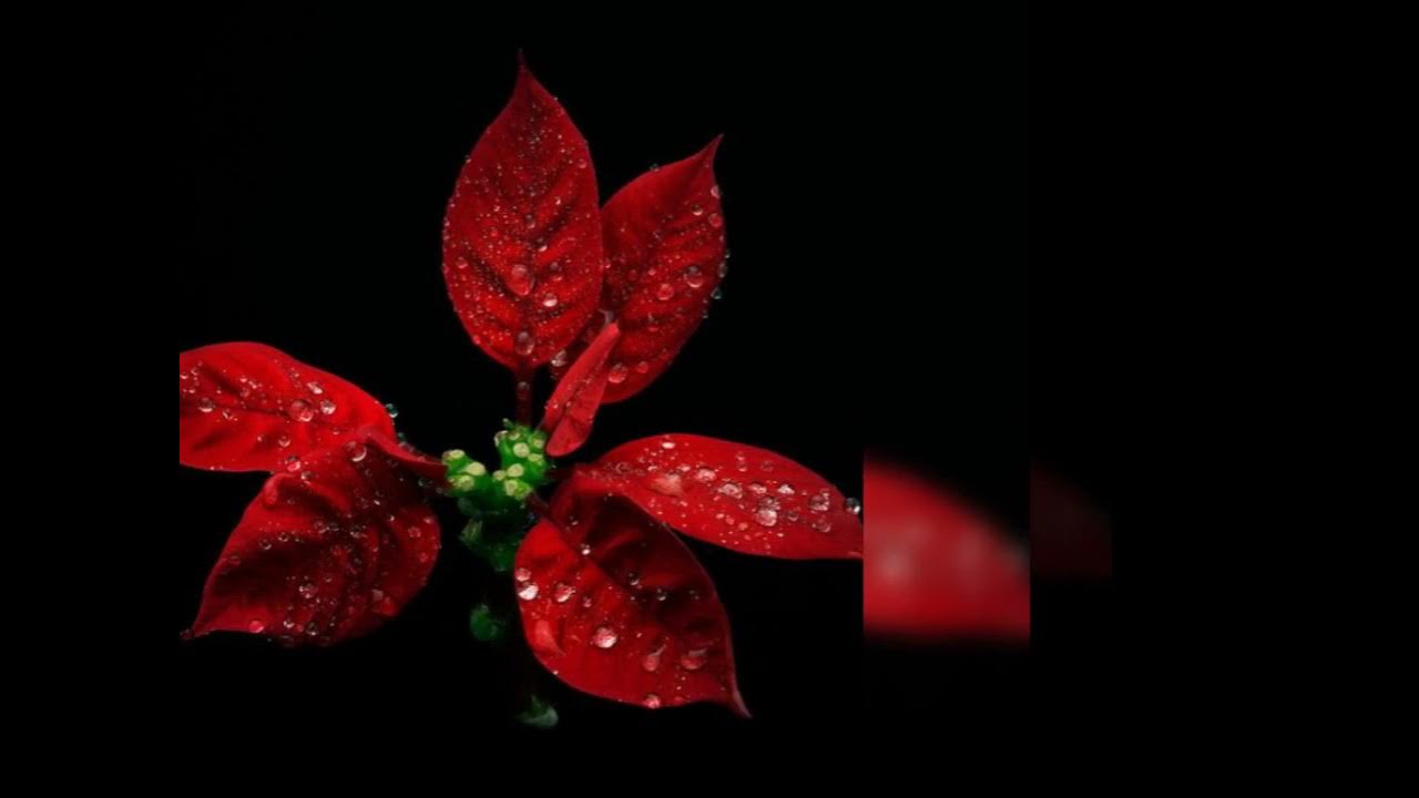 maman julienne - YouTube
