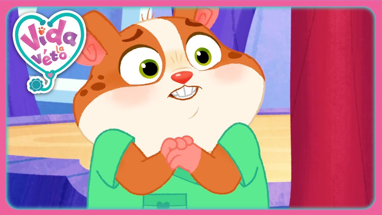 Popcorn A Besoin D'aide (Compilation) | Vida la Véto | Dessins Animés Pour Enfants