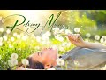 Music to relax, meditate, study, read, massage, spa or sleep.