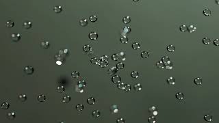 Fade - The Showering Ceiling - Alpi