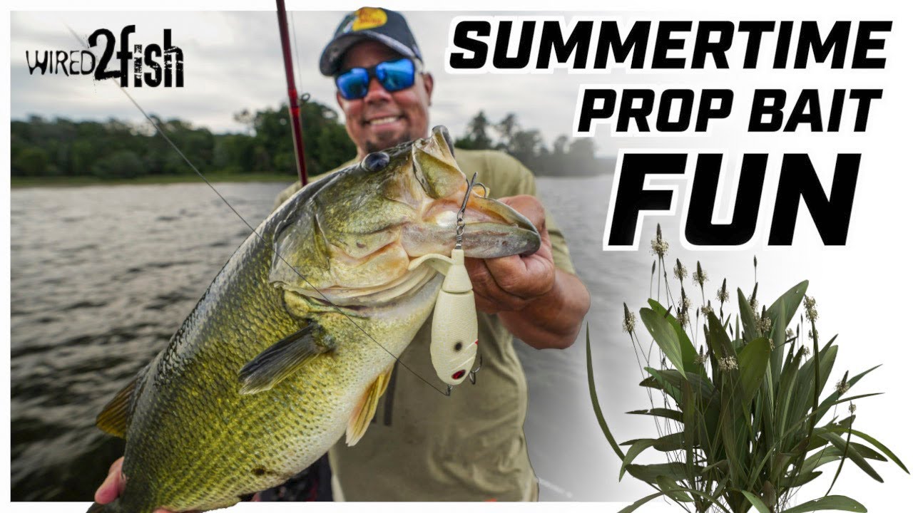 Mastering Topwater Prop Baits for Summer Bass Over Grass YouTube