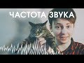 Что такое ЧАСТОТА звука и почему она важна?