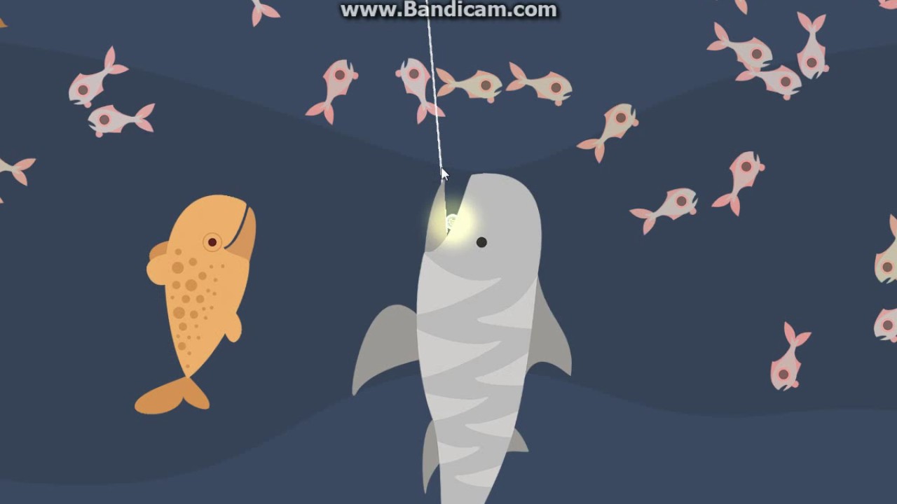 Cat Goes Fishing How to catch a Tiger Shark REALISM YouTube