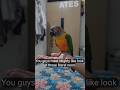 Best Listener and Best Buddy ♥️💚 #conure
