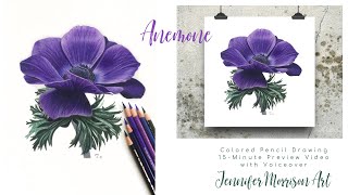 Drawing an Anemone Flower with Colored Pencils