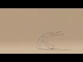 Kuch to hai Tujse rabta - WhatsApp status Whatsapp Status Video Download Free