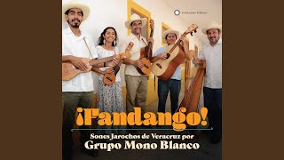 Video thumbnail of "Grupo Mono Blanco - La Morena (The Dark Woman)"