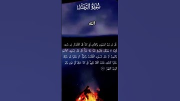 لن اطلب منك شيء فقط احترم القران الكريم 🙂