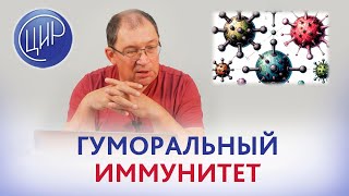 Гуморальный иммунитет: антитела и иммуноглобулины, классы иммуноглобулинов. И.И. Гузов.
