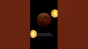 #صوتي #اكسبلور #المصحف #لايك #قرآن #دويتو #قران_كريم #ترند #القارئ_طه_الطييه