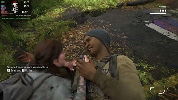 The Last of Us Part 2 on Linux - RX 580 (CRASH)