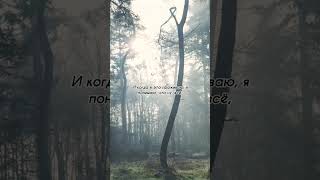 ВНЕШНЕЕ ПРОДОЛЖЕНИЕ ВНУТРЕННЕГО #ченнеленг, #пробуждение, #энергия, #высшеея, #хроникиакаши