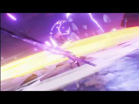 雷電將軍pv
