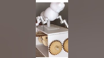 3D Printed Automaton