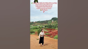 VIEW TRIỆU MÂY – SÁT TANUNG ĐÀ LẠT 🌿DT 284m² (ngang 12m) – 140m² thổ cư,💰 Chỉ 1ty450– sổ sẵn!