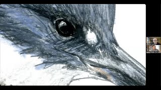 Find Your Inner Birdcasso!