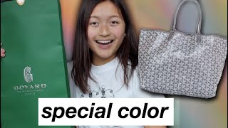 Goyard Saint Louis PM special colors – hey it's personal shopper