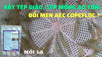 CHIA SẼ KINH NGHIỆM BẮT "TÉP GIÁO, TÉP MỒNG" VÀ DIỆT CÁ TẠP KHI CÓ TÔM