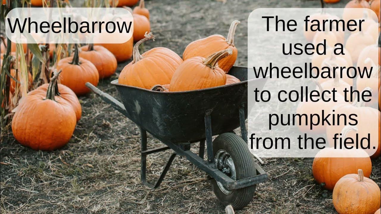 Wheelbarrow English word pronunciation Read Along (Australian Accent