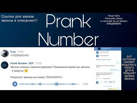 Prank Number | БОТ Подборка звонков-пранков #4