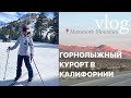 День благодарения и лыжи в Америке VLOG