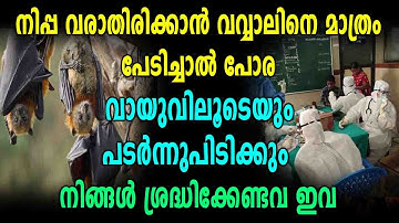 Nipah Virus ഇങ്ങനെയും പകരും | Oneindia Malayalam