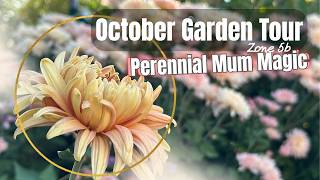 October Garden Tour 🍂| Perennial Mums Show & Fall Color Shifts