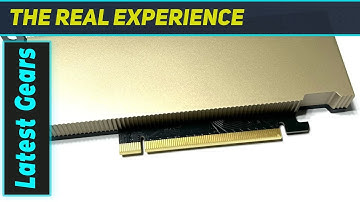 NVIDIA Tesla L4: The Best Accelerator for AI, Video, and Graphics?