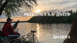 🐠Рыбалка фидером на Днепре Диевка