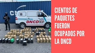 Ocupan 862 paquetes durante operativo en puerto Caucedo de la DNCD