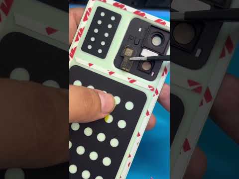 Você faria isso?