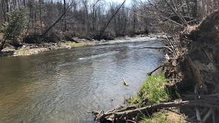 Scouting and fishing a new spot - Cass River - Part 1