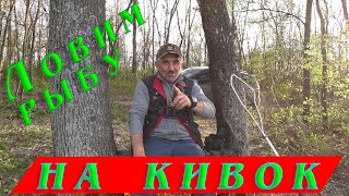 видео: Ловля  на боковой кивок. Как поймать рыбу в камышах картинка: Ловля  на боковой кивок. Как поймать рыбу в камышах