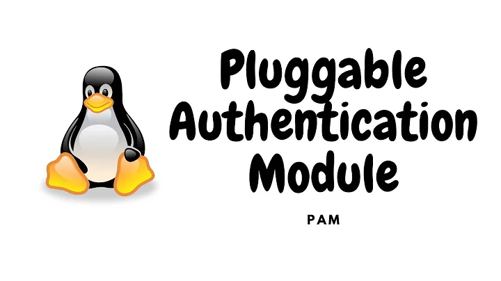 Pluggable Authentication Module