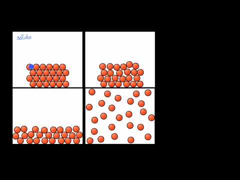Video: ¿Las partículas son sólidas?