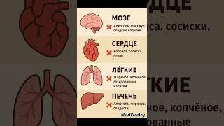 Какой орган ненавидит #анемия #хочуфакты #sorts #shorts #short  #shortvideo