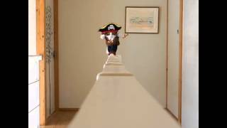 Ahoy mateys! (Cat in pirate costume)