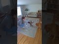 Cat Snitches On Guilty Dog!