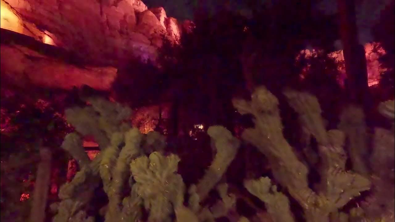 Radiator Springs Racers Night Standby queue walkthrough Edge of