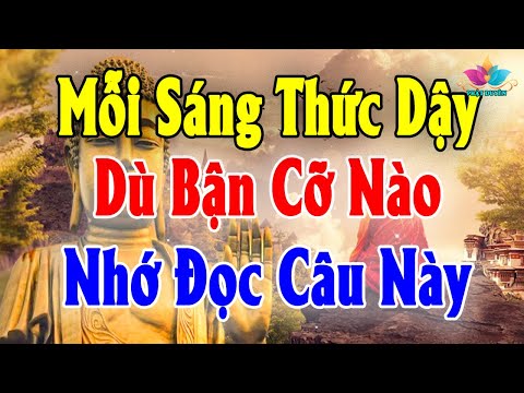 Video: PL 94 142 có giống như ý tưởng?