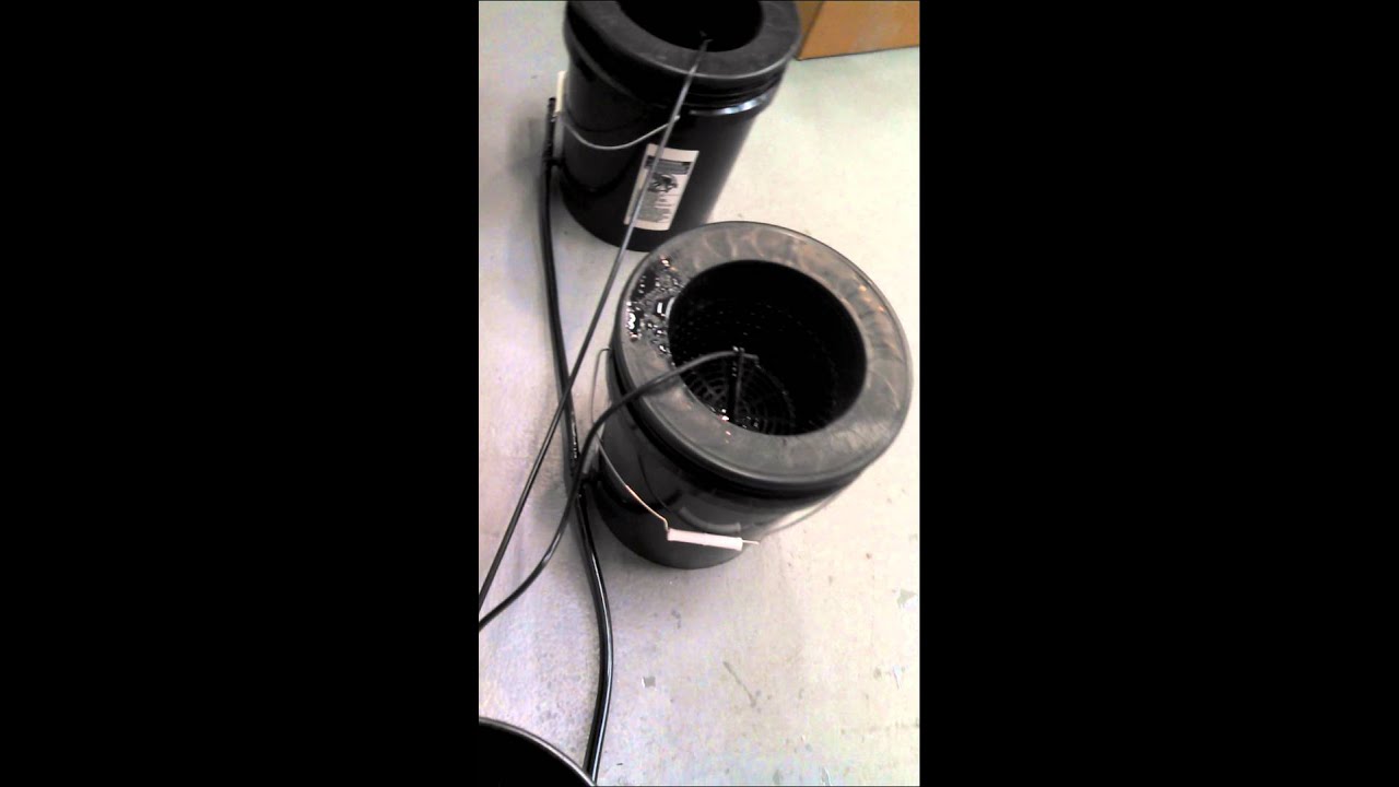 Simple and cheap DIY RDWC system - YouTube